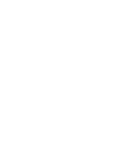 Daffodilcore logo