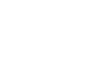 Past & Present logo